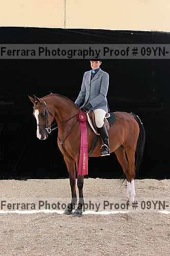 Proof 09yn-17526