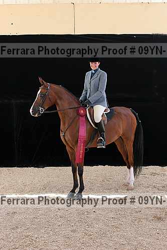 Proof 09yn-17527