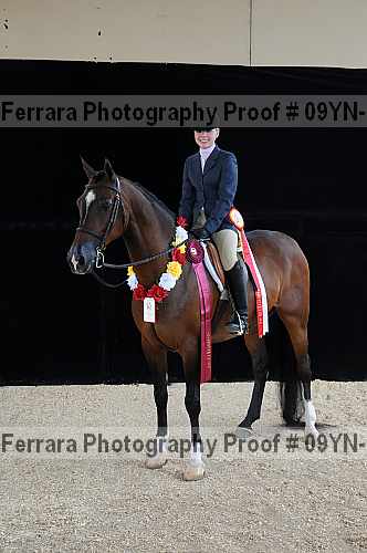 Proof 09yn-18004