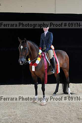Proof 09yn-18005