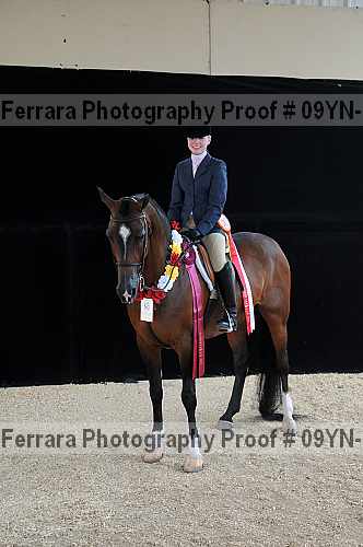 Proof 09yn-18006