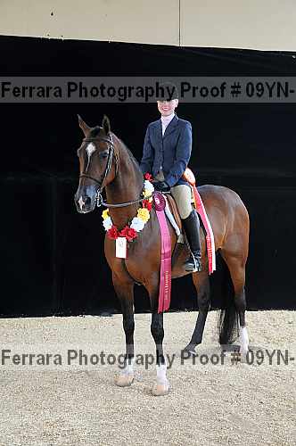 Proof 09yn-18007