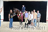 09yn-18011 proof