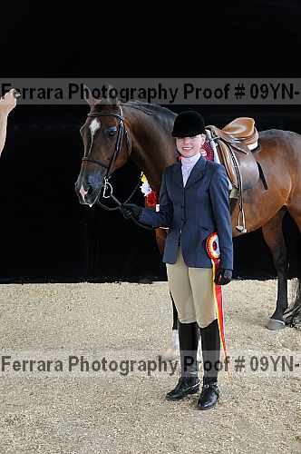 Proof 09yn-18012