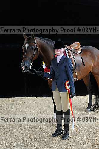Proof 09yn-18013