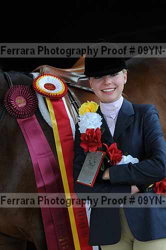 Proof 09yn-18019