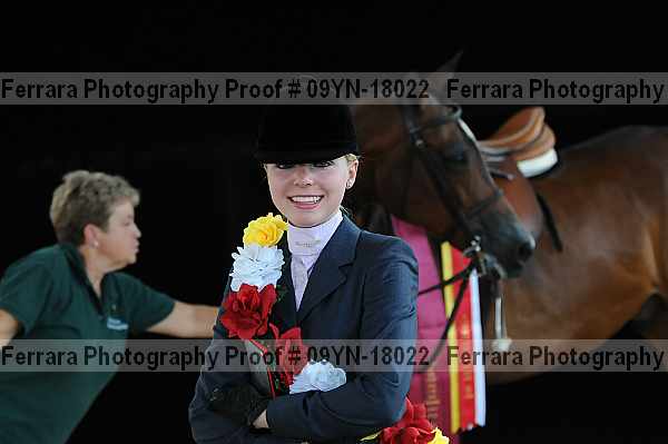 Proof 09yn-18022