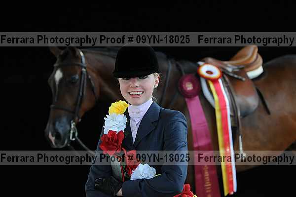 Proof 09yn-18025