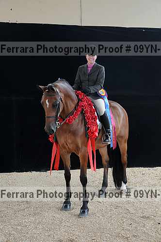 Proof 09yn-18032