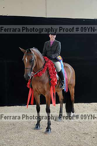 Proof 09yn-18033