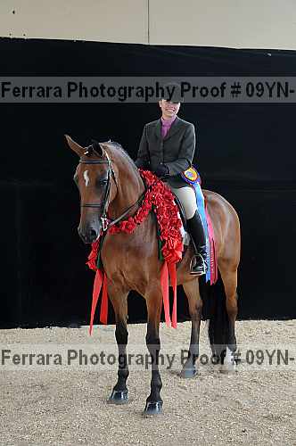 Proof 09yn-18034