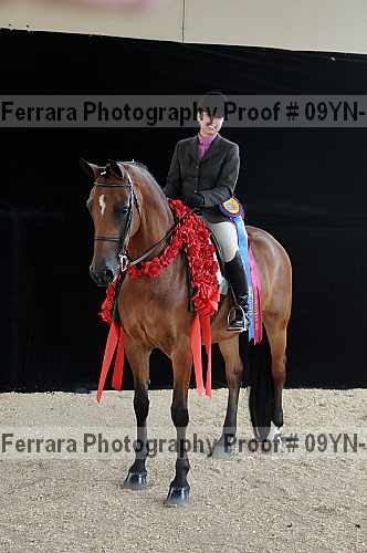 Proof 09yn-18035
