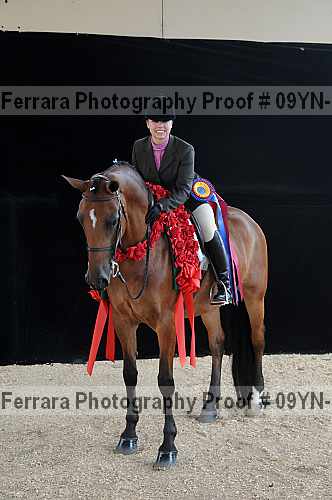 Proof 09yn-18036