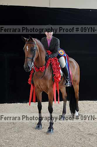 Proof 09yn-18037