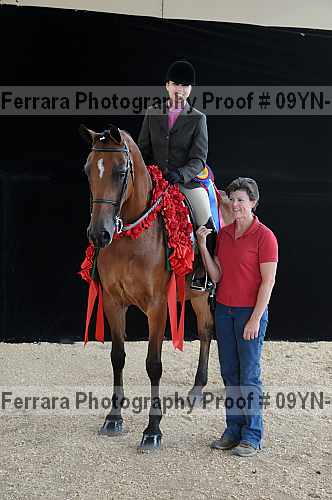 Proof 09yn-18041