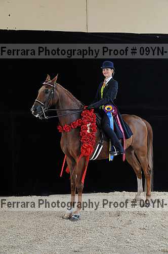 Proof 09yn-18071