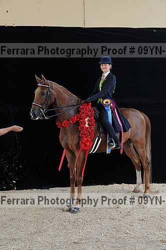 Proof 09yn-18072