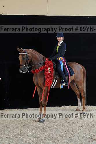 Proof 09yn-18073
