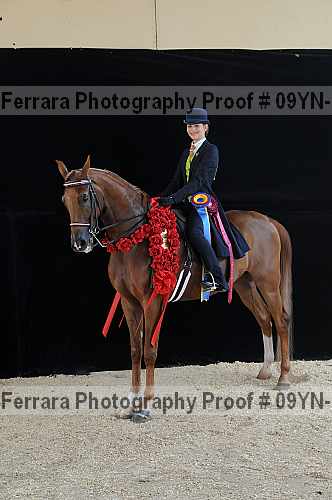 Proof 09yn-18074