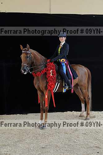 Proof 09yn-18075