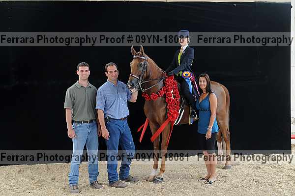 Proof 09yn-18081