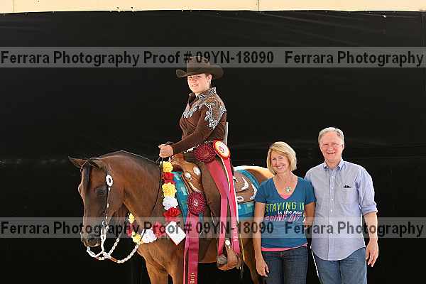 Proof 09yn-18090