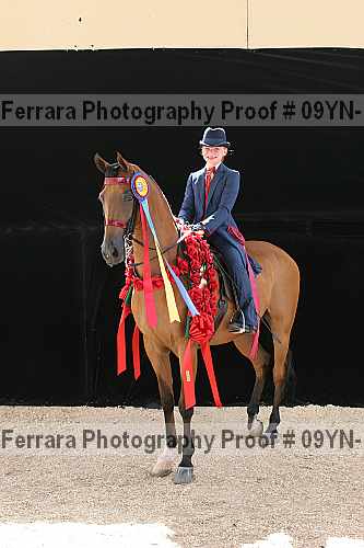 Proof 09yn-18095
