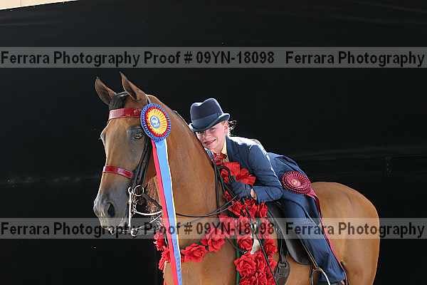 Proof 09yn-18098