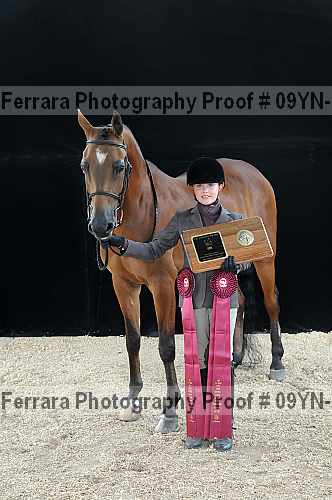 Proof 09yn-18684