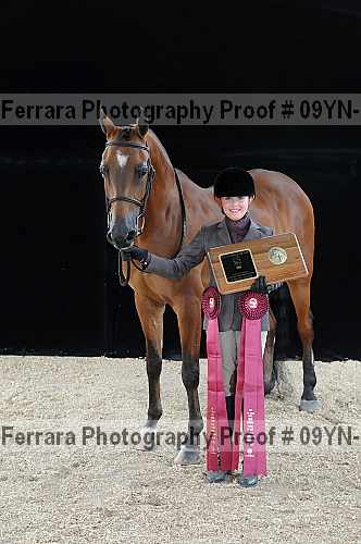 Proof 09yn-18687