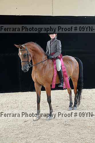Proof 09yn-18695