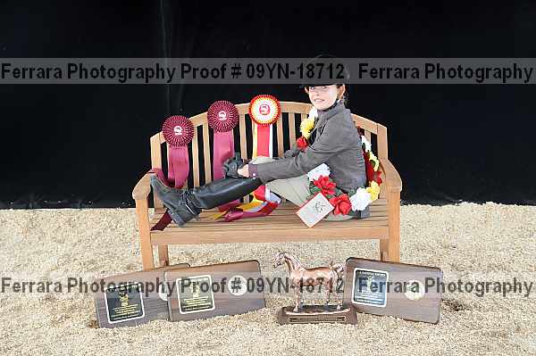 Proof 09yn-18712