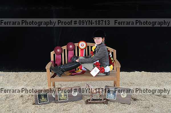 Proof 09yn-18713