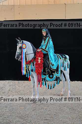 Proof 09yn-19057