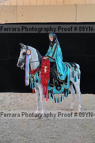 Proof 09yn-19058