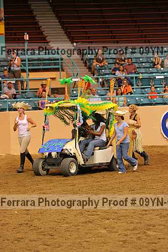 Proof 09yn-02051