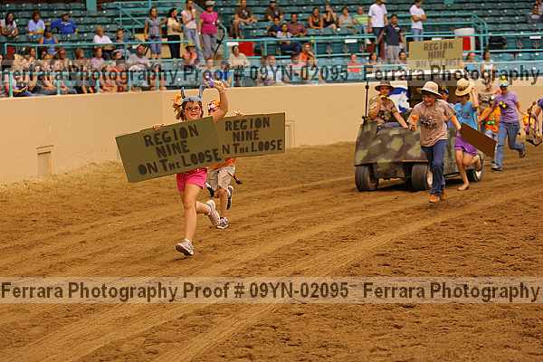 Proof 09yn-02095