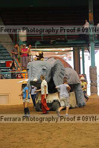 Proof 09yn-02124