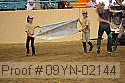 09yn-02144 proof