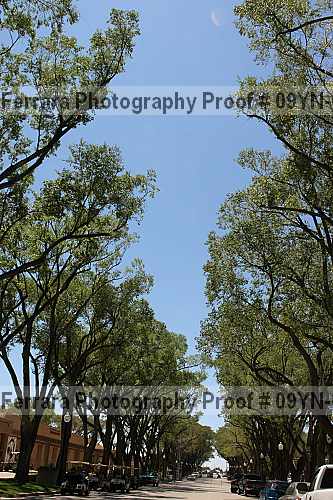 Proof 09yn-06954