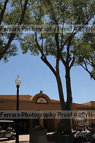 Proof 09yn-06955