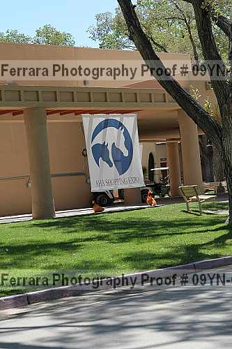 Proof 09yn-06956
