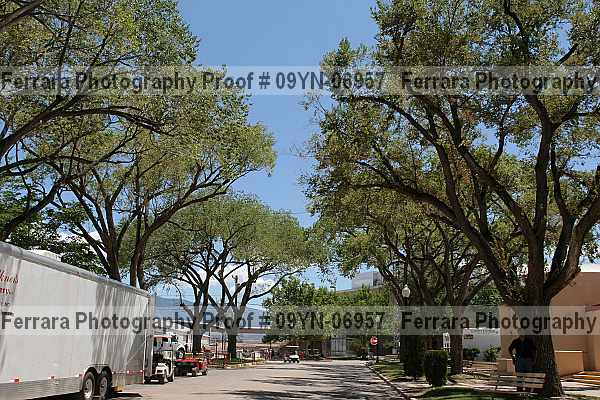 Proof 09yn-06957