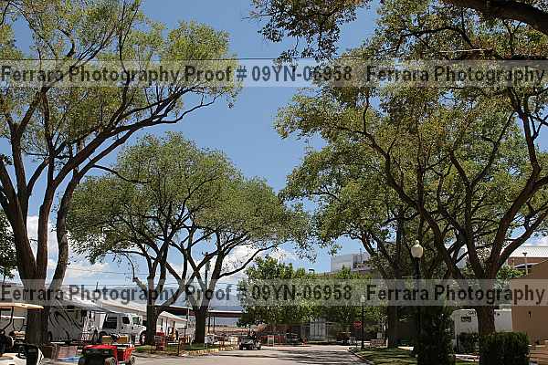 Proof 09yn-06958
