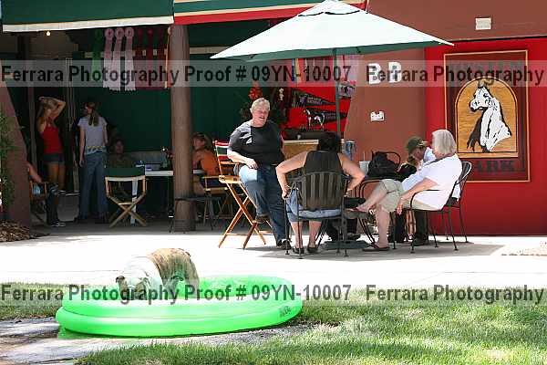 Proof 09yn-10007
