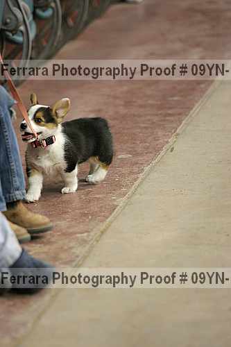 Proof 09yn-14986