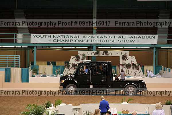 Proof 09yn-16017