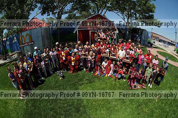 Proof 09yn-16767
