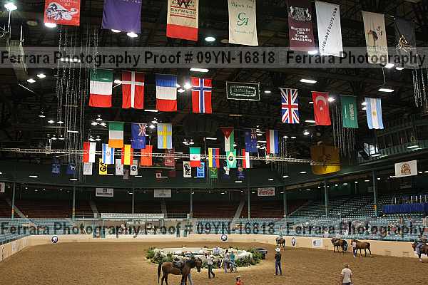 Proof 09yn-16818