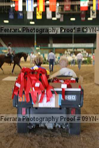 Proof 09yn-16819